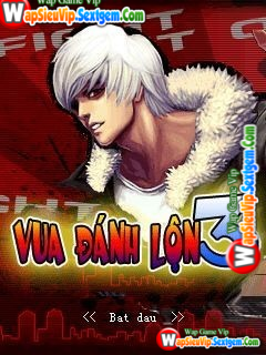 Tải Game Vua Đánh Lộn 3 - Hành Động, Crack SMS Cho Java